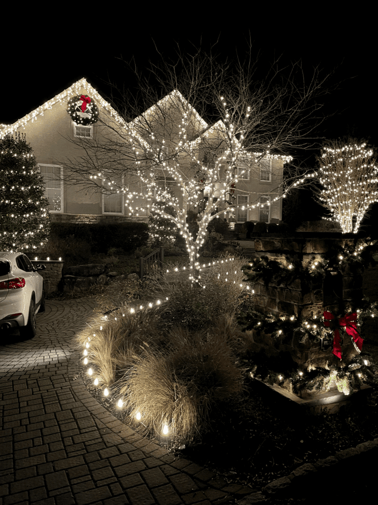 christmas lights for bushes south jersey